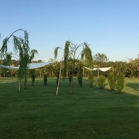 Acciuga Mm Herberg Piazzola sul Brenta