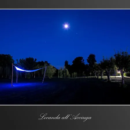 Acciuga Mm * פיאצולה סול ברנטה