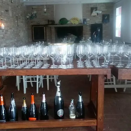Herberg Acciuga Mm