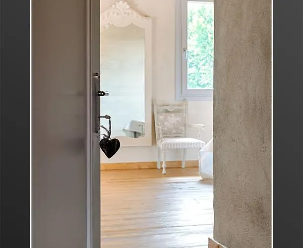 אורחן Acciuga Mm