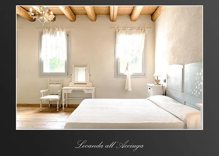 אורחן Acciuga Mm