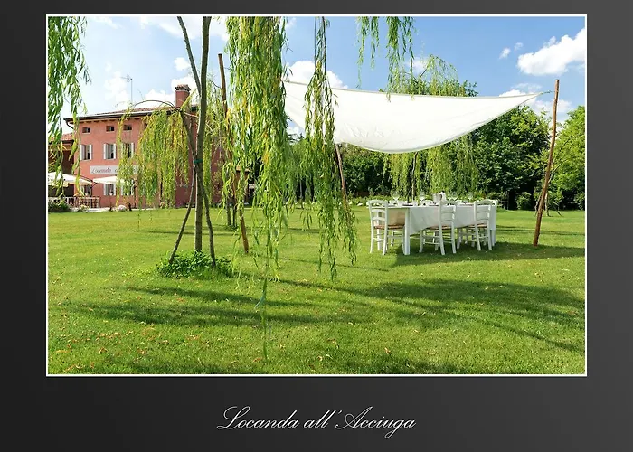 אורחן Acciuga Mm *