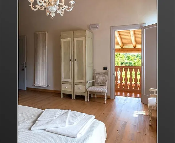 Acciuga Mm אורחן