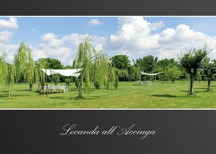 Acciuga Mm אורחן