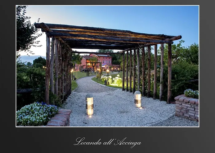 אורחן Acciuga Mm *