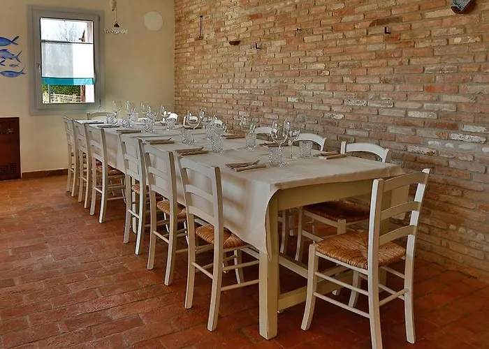 Acciuga Mm אורחן *