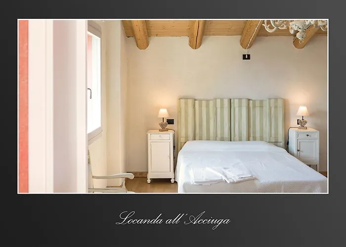 Acciuga Mm אורחן *