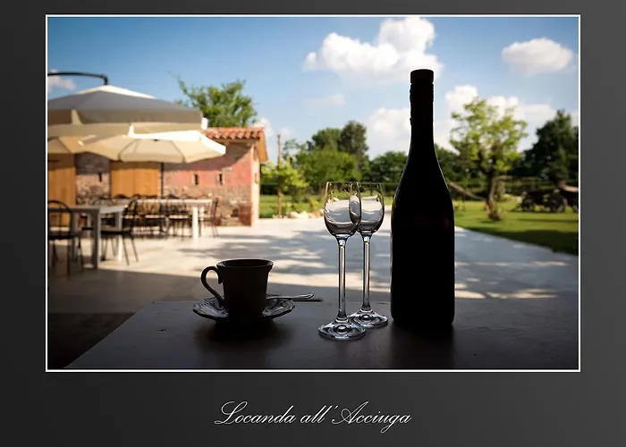 אורחן Acciuga Mm *