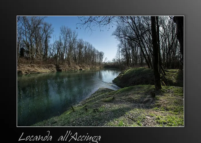 Acciuga Mm * פיאצולה סול ברנטה