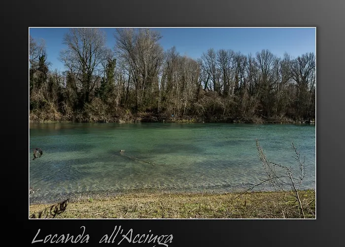 אורחן Acciuga Mm