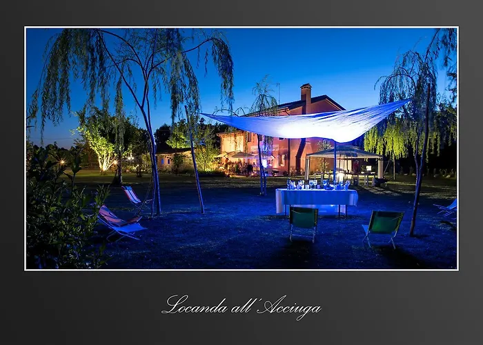 Acciuga Mm אורחן