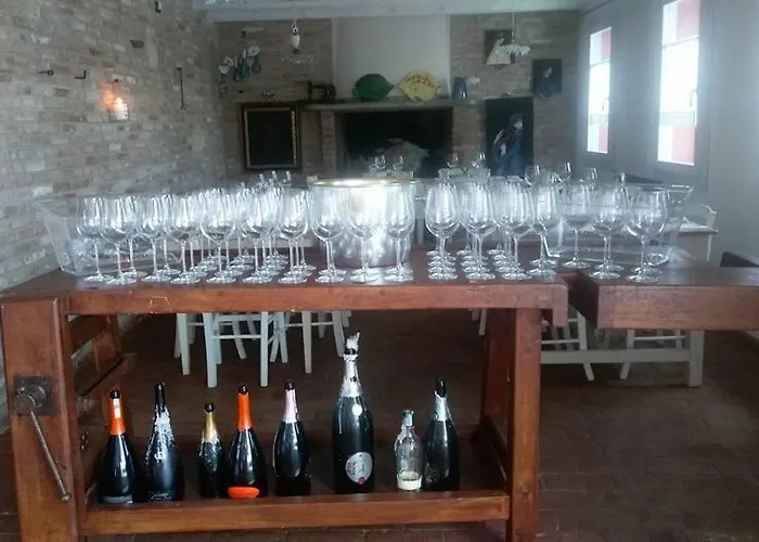 אורחן Acciuga Mm